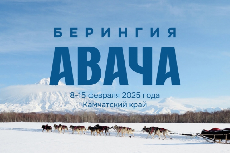 Каюр Камчатки: "Чем больше участников гонки "Берингия. Авача", тем ярче соревновательный дух!" Официальный сайт Камчатского края