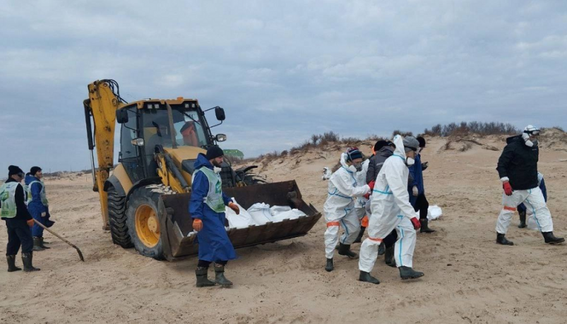 Тематическое фото Пресс-служба Главного управления молодежной политики Омской области