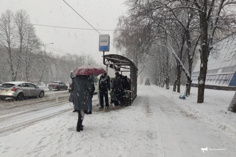 Ставрополь ИА Stavropol.Media