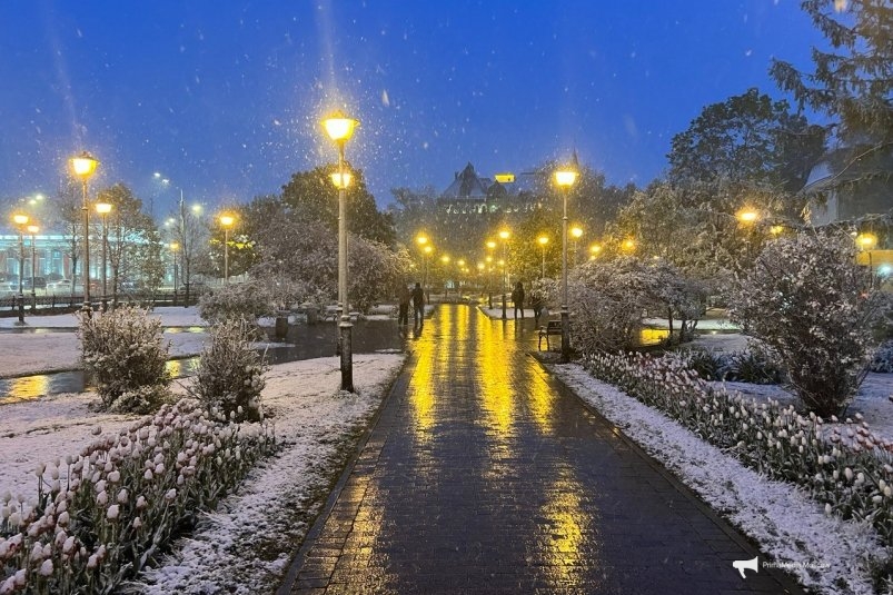 Москва ИА StolicaMedia