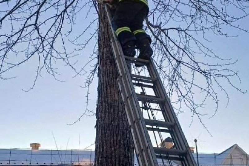 тематическое фото МЧС ЕАО