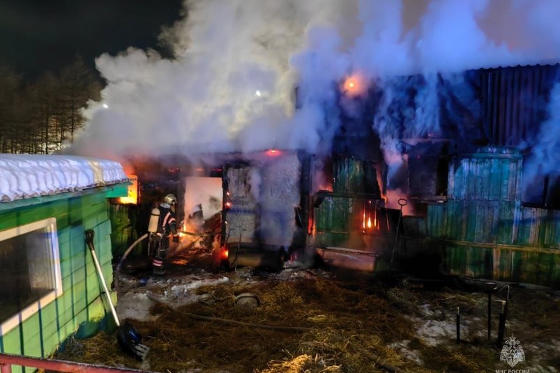 В Магадане на пожаре погибли домашние животные  и птицы ГУ МЧС России по Магаданской области