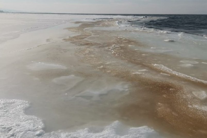 С коричневым цветом воды в море столкнулись жители Владивостока ННЦМБ ДВО РАН