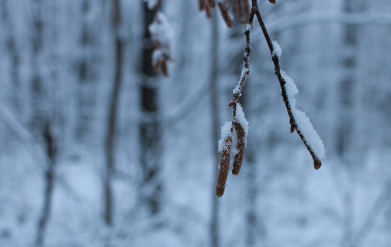 Тематическое фото Сайт unsplash.com