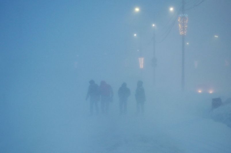 Пурга Елена Поддубная, ИА KamchatkaMedia