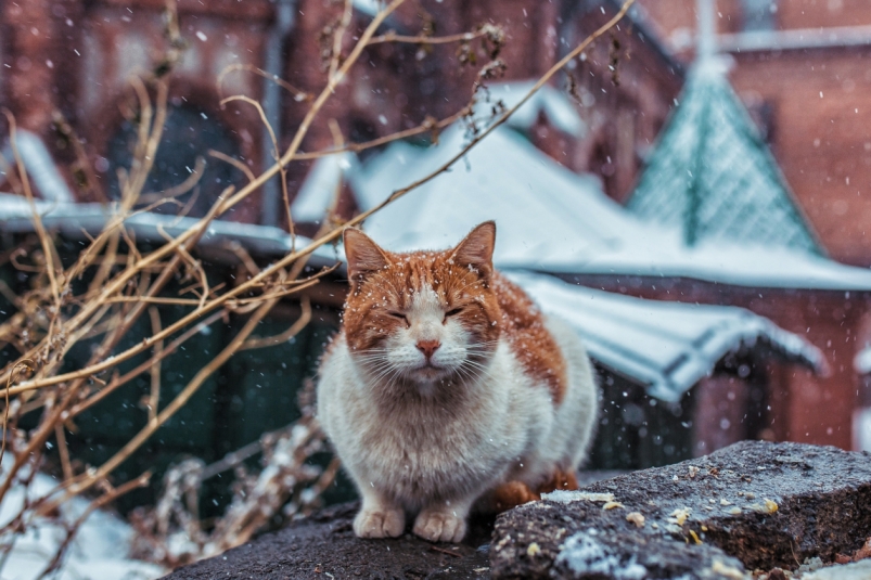 Тематическое фото Мария Смитюк, ИА PrimaMedia