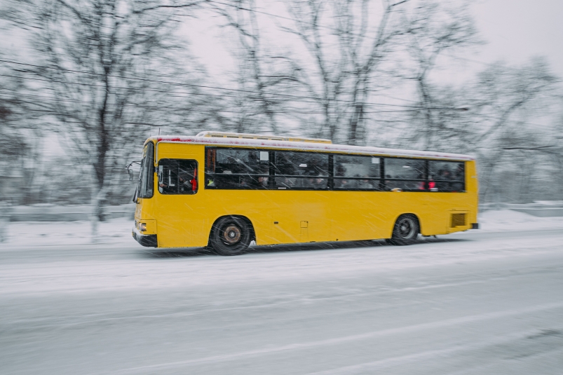 Автобус Мария Смитюк, ИА PrimaMedia.ru