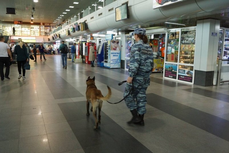 Служебная собака обнаружила наркотики у одного из пассажиров в аэропорту Иркутска пресс-служба Восточно-Сибирского ЛУ МВД России на транспорте