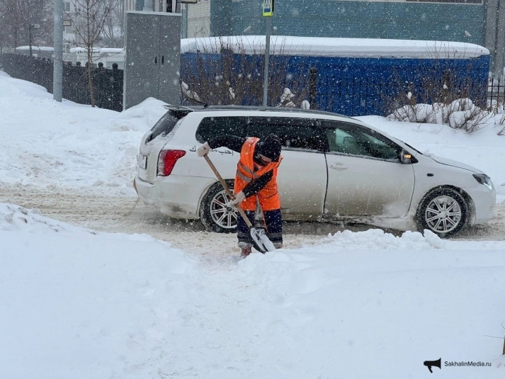 Метель в Южно-Сахалинске ИА SakhalinMedia