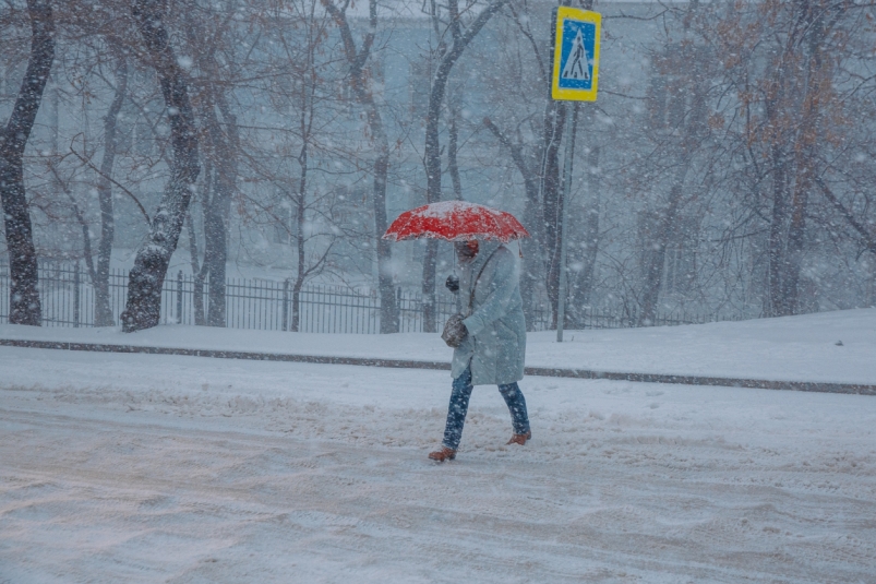 пешеход, снег, метель, холод, зима, циклон, погода, пробка, снегопад, осадки, прогноз, гололед, похолодание Мария Смитюк, ИА PrimaMedia.ru