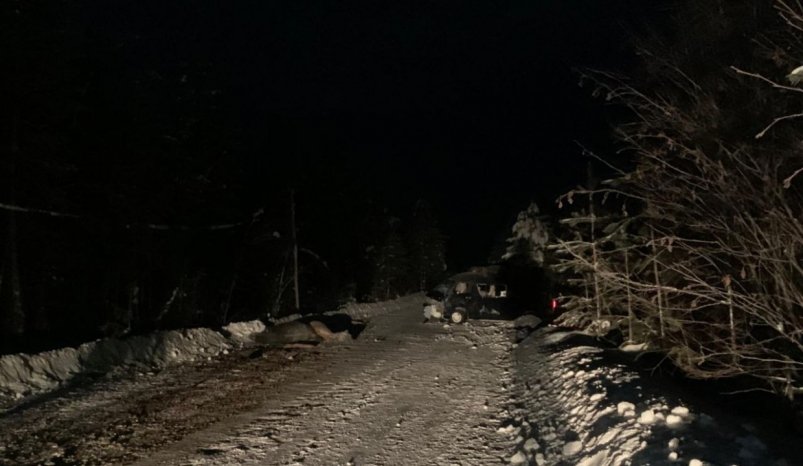 На трассе в Якутии водитель врезался в лошадей Госавтоинспекция