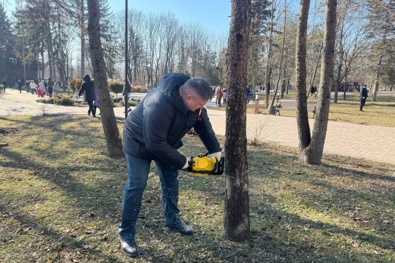 Мэр Ессентуков с электропилой вышел убирать деревья в сквере Телеграм-канал Владимира Крутникова (18+)