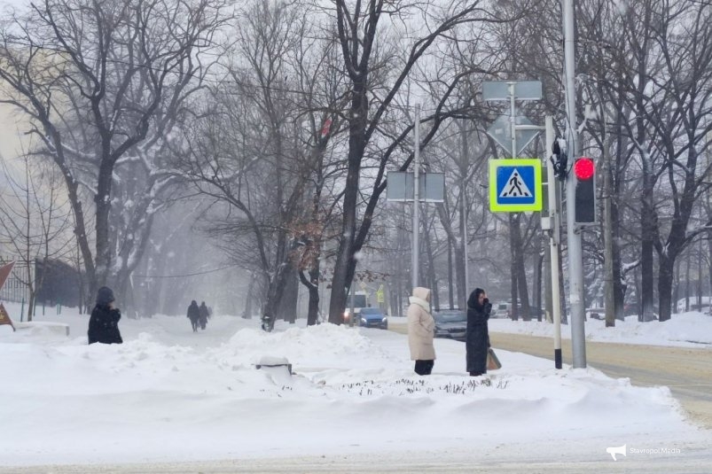 Ставрополь ИА Stavropol.Media