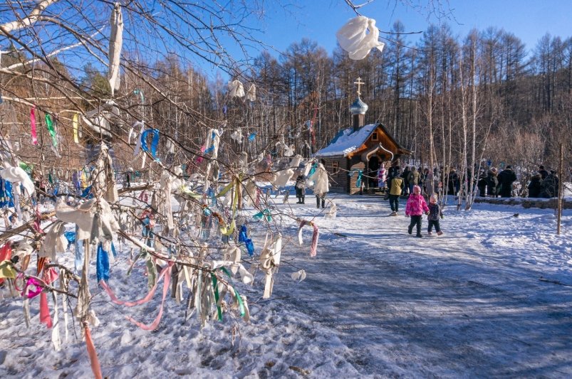 Мусорные вязочки на дереве Сергей Иванов