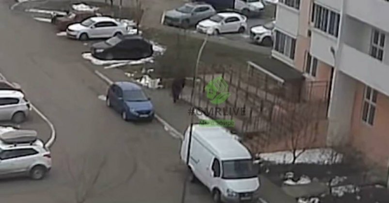 Появилось видео, как неизвестный выносит труп подростка на лавочку в Краснодаре t.me/gmrlive