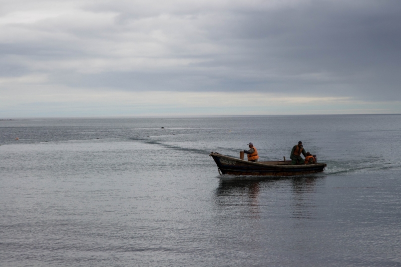 Рыбалка, рыбаки, море, лодка Денис Таушканов, ИА SakhalinMedia