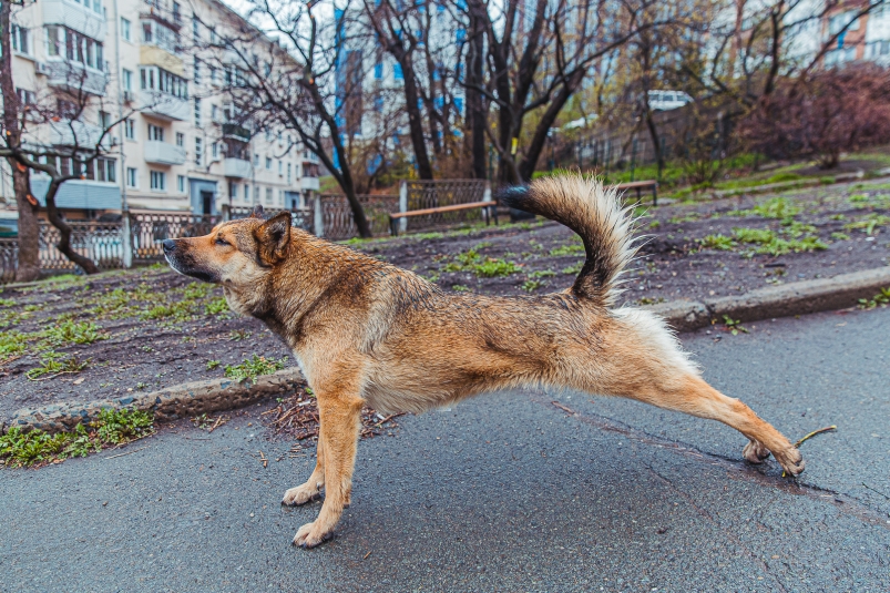 Тематическое фото Мария Смитюк, ИА PrimaMedia