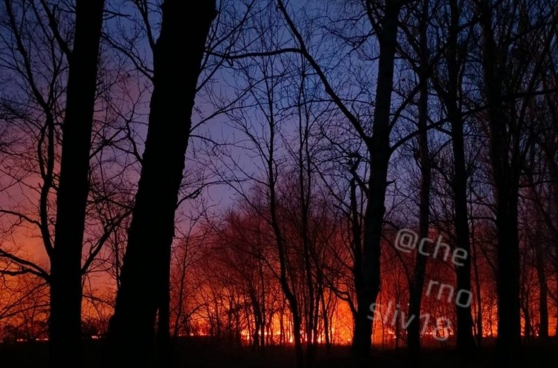 Пожар в парке "Зеленый остров" тг-канал (18+) mark2_che