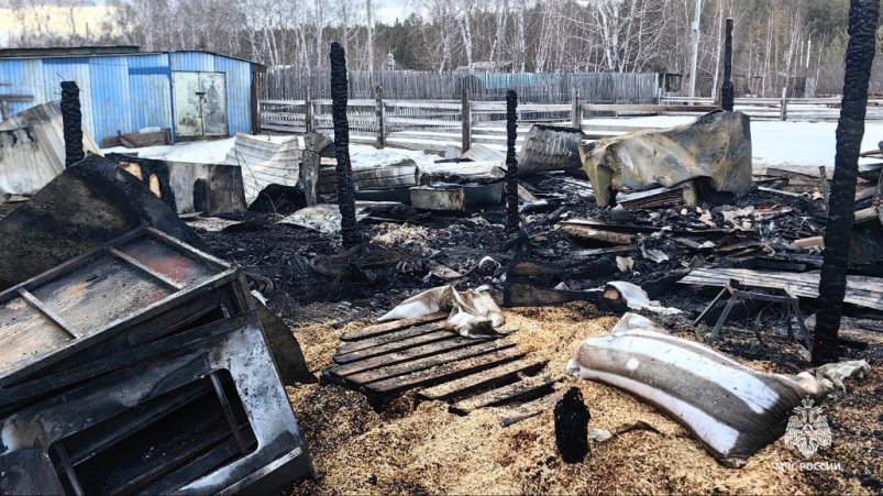 Пожар в зоопитомнике "Амодово" тг-канал ГУ МЧС по Забайкальскому краю