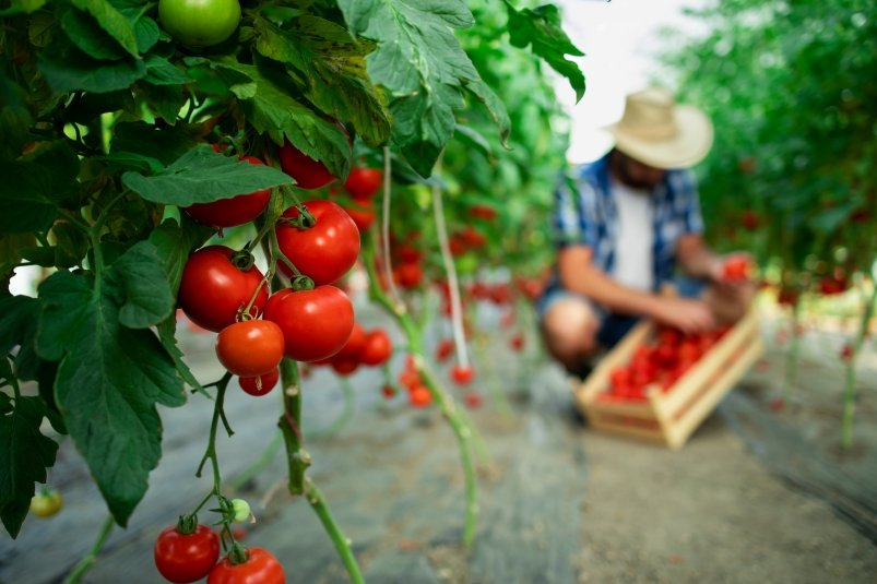 Тематическое фото freepik.com