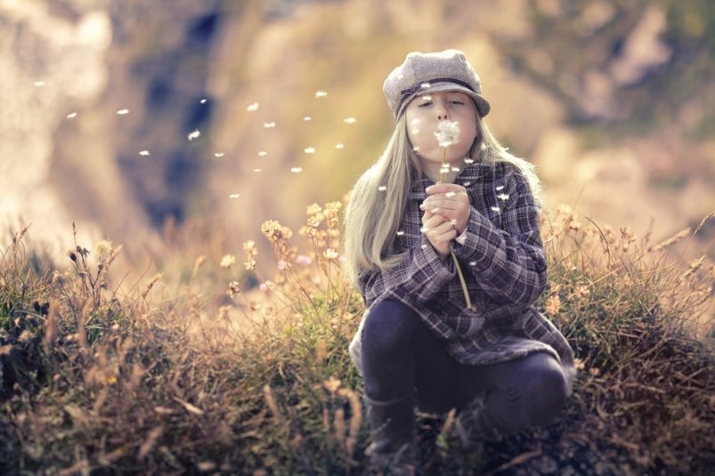 Тематическая иллюстрация https://pxhere.com/ru/photo/770189