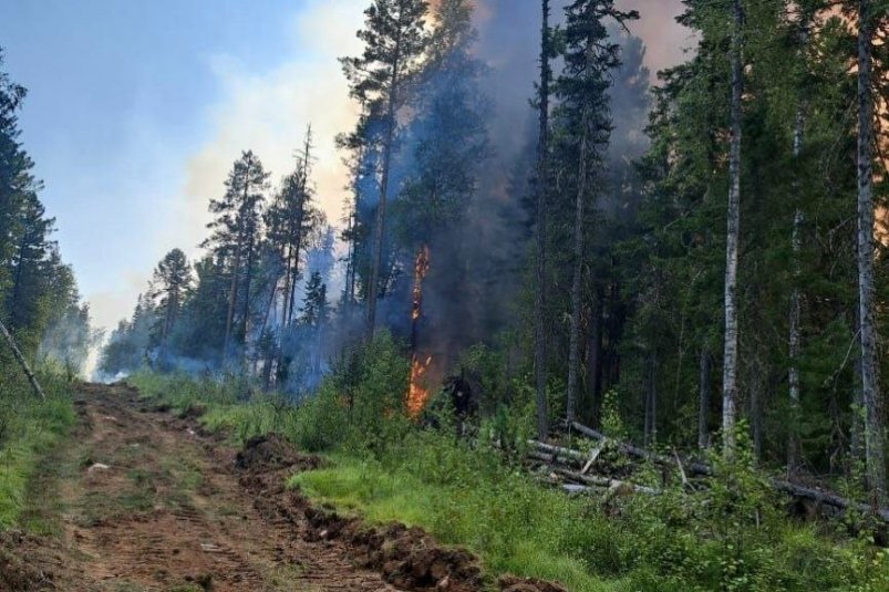 Лесной пожар ликвидировали в Ангарске Пресс-служба правительства региона
