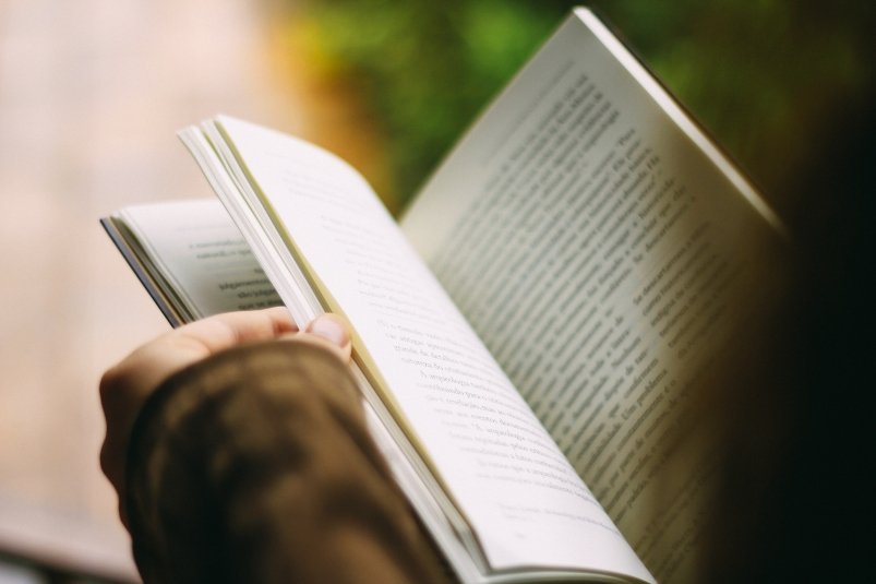 Вы начитаннее книжного червя, если наберете 7/7 - ТЕСТ pxhere.com Вы начитаннее книжного червя, если наберете 7/7 - ТЕСТ pxhere.com