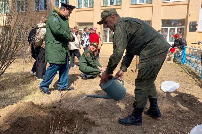 Высадка саженцев в Атамановке с официального портала Забайкалья