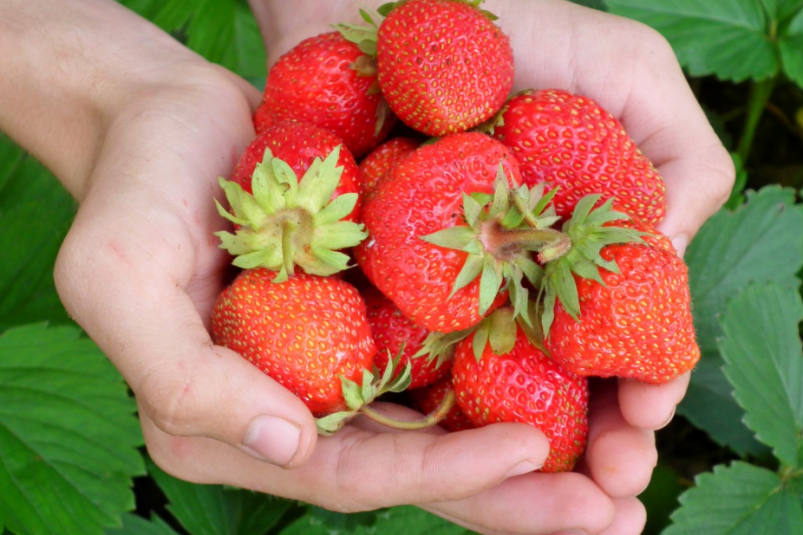 Тематическое фото pxhere.com (18+).