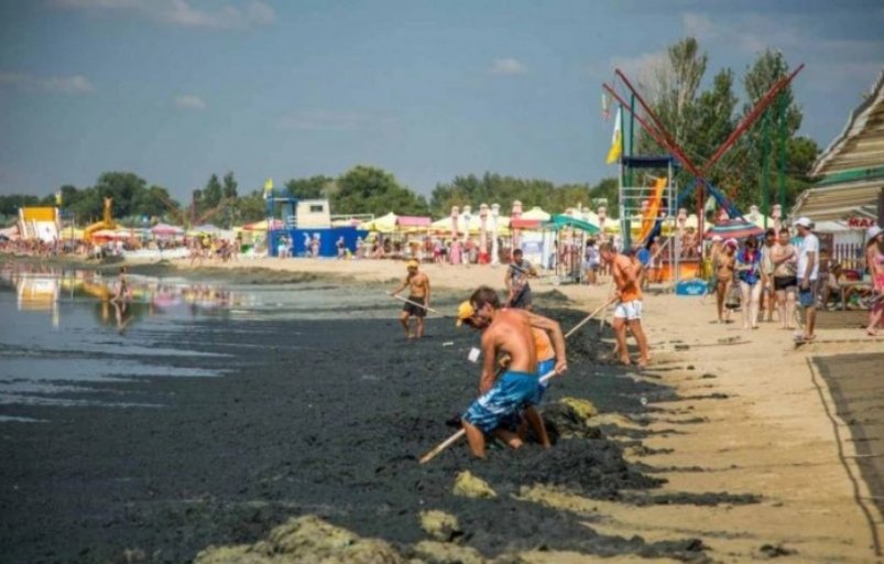Тоннами выброшенных на берег водорослей завалены пляжи Анапы С официального сайта администрации города Анапа