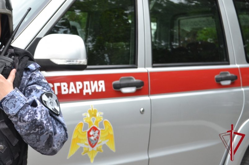 Тематическое фото Росгвардия ЕАО