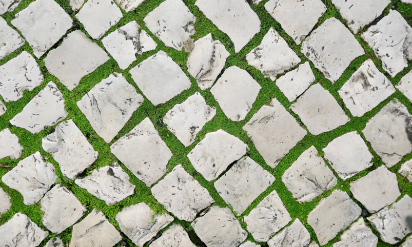 Тематическое фото unsplash.com
