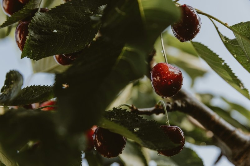 Тематическое фото unsplash.com (18+)