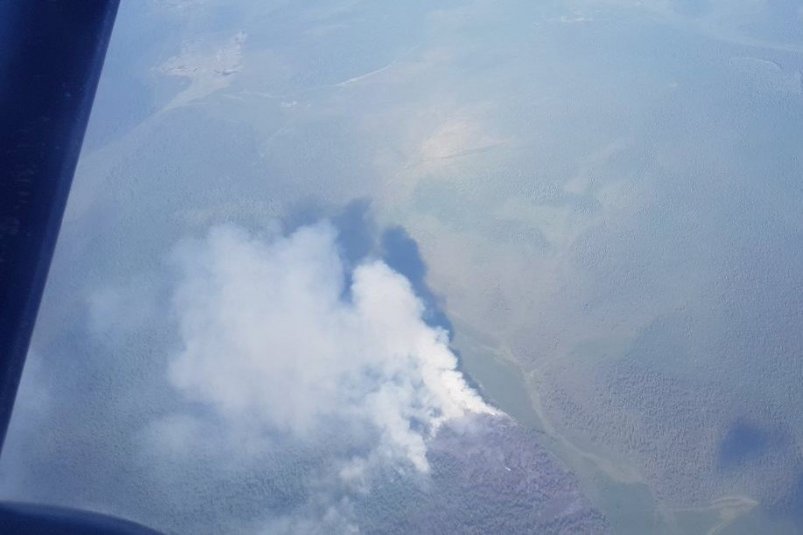 Возгорание ликвидировали в лесу Ангарского горкурорга Пресс-служба правительства региона