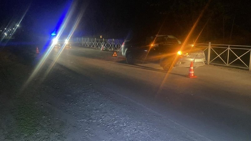 В Предгорном округе водитель автомобиля допустил наезд на двух несовершеннолетних пешеходов Госавтоинспекция Ставрополья