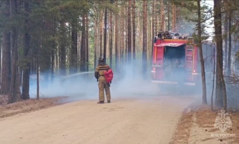 Тушение пожара возле Смоленки скриншот из видео ГУ МЧС по Забайкальскому краю