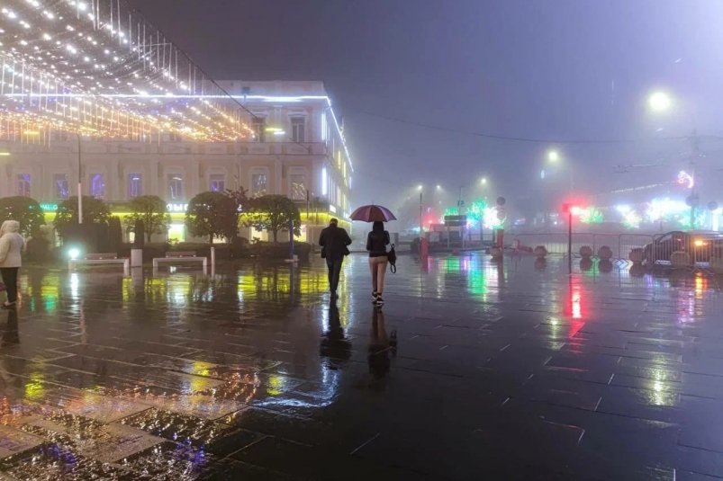 Вильфанд о предстоящей погоде в Москве: Невольно поеживаешься ИА StolicaMedia