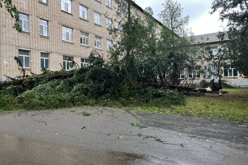 Стихия обрушилась на Солнечнодольск Телеграм-канал (18+) СолнечнодольскLIFE