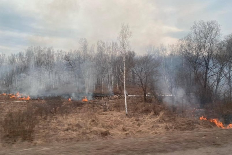 тематическое фото правительство ЕАО