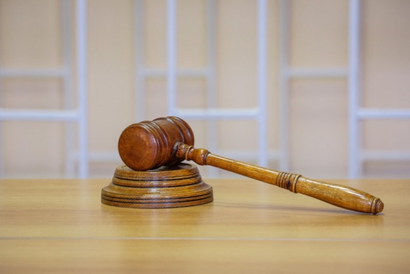 Суд вынес приговор по делу о нападении двух хаски на ребенка Антон Балашов, ИА PrimaMedia