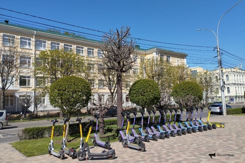 Светодиодные деревья на улице Дзержинского ИА Stavropol.Media