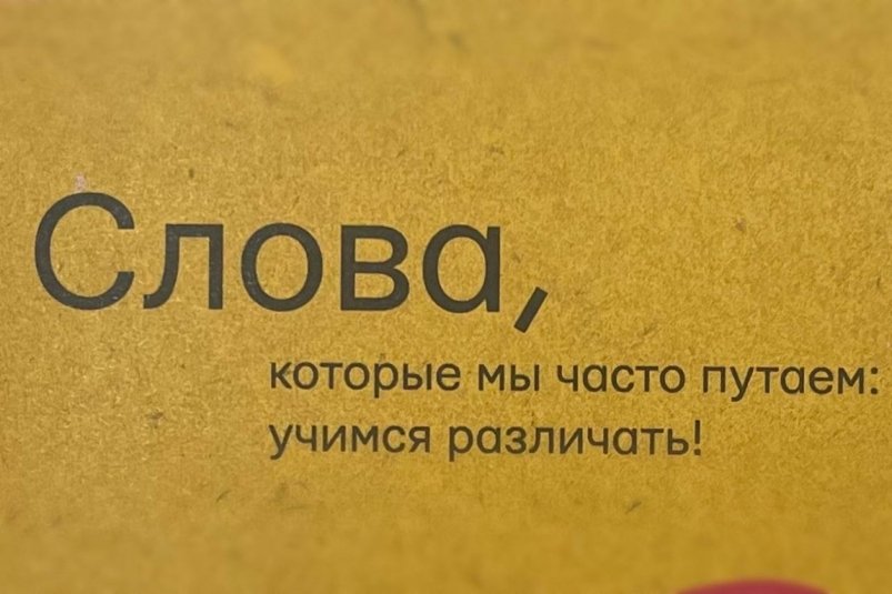 Тематическое фото ИА StolicaMedia