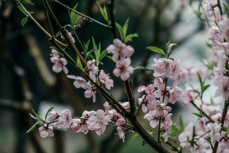Тематическое фото unsplash.com