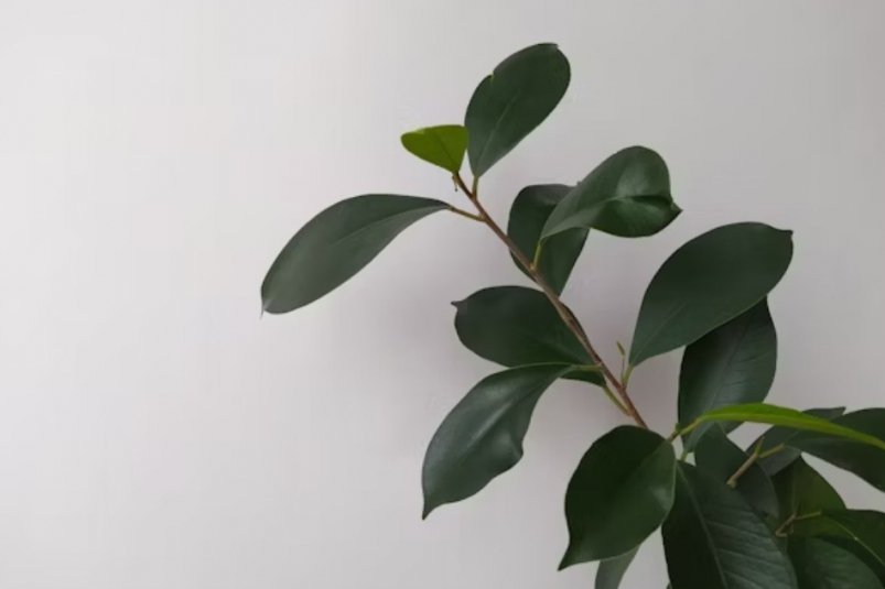 Тематическое фото Разработано с помощью unsplash.com