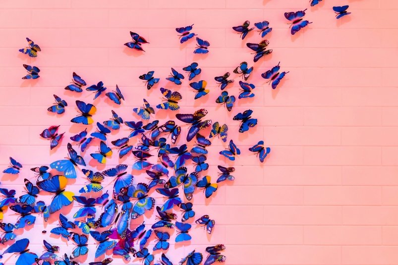 Тематическое фото https://unsplash.com/