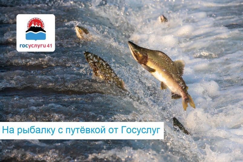 В Камчатском крае стартует новый сезон любительского рыболовства Официальный сайт Камчатского края