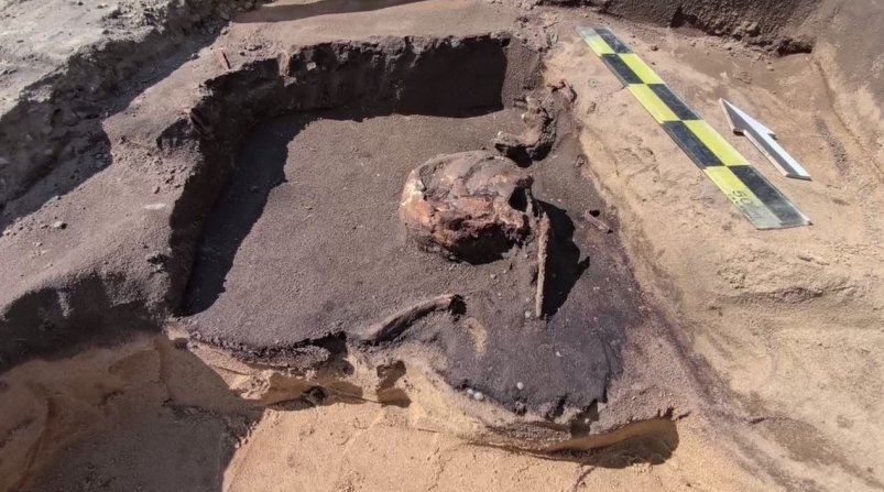 Древнее захоронение нашли в Архаринском округе скриншот видео - телеграм-канал &quotamurcsn" (18+)