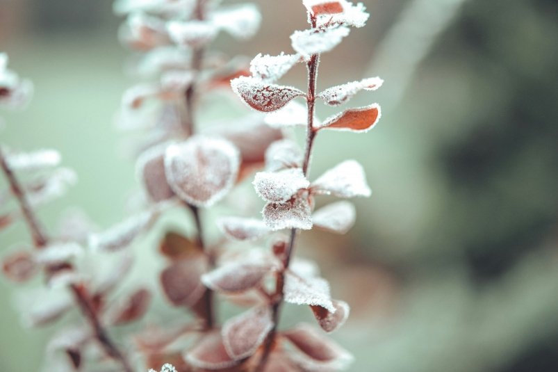 Тематическое фото unsplash.com