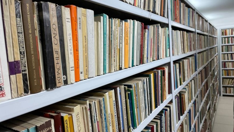 Книги ИА StolicaMedia