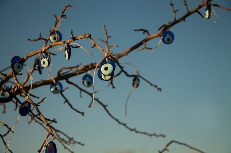 Тематическое фото https://unsplash.com/